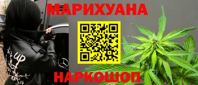 шишки Кингисепп
