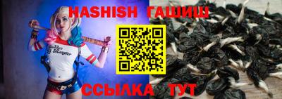спиды Кинель