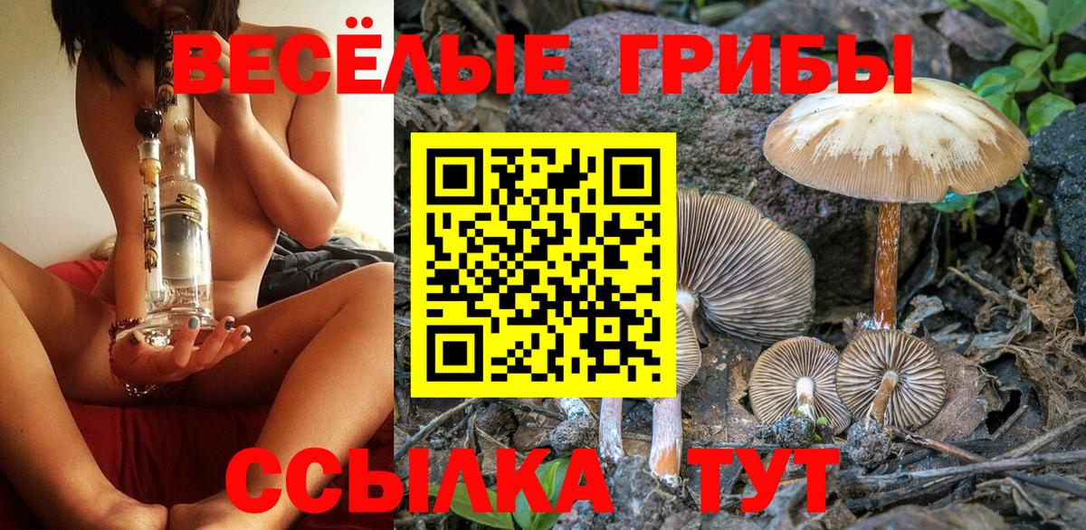 Галлюциногенные грибы прущие грибы Благовещенск
